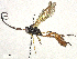  ( - CBG-A62920-F12)  @11 [ ] CreativeCommons - Attribution Share - Alike (2025) CBG Photography Group Centre for Biodiversity Genomics