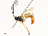 ( - CBG-A65358-B01)  @11 [ ] CreativeCommons - Attribution Share - Alike (2025) CBG Photography Group Centre for Biodiversity Genomics