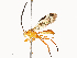  ( - CBG-A65359-A05)  @11 [ ] CreativeCommons - Attribution Share - Alike (2025) CBG Photography Group Centre for Biodiversity Genomics