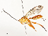  ( - CBG-A65359-A08)  @11 [ ] CreativeCommons - Attribution Share - Alike (2025) CBG Photography Group Centre for Biodiversity Genomics