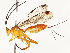  ( - CBG-A65360-A06)  @11 [ ] CreativeCommons - Attribution Share - Alike (2025) CBG Photography Group Centre for Biodiversity Genomics