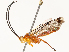  ( - CBG-B15174-C05)  @11 [ ] CreativeCommons - Attribution Share - Alike (2025) CBG Photography Group Centre for Biodiversity Genomics
