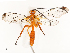  ( - CBG-B15174-F02)  @11 [ ] CreativeCommons - Attribution Share - Alike (2025) CBG Photography Group Centre for Biodiversity Genomics