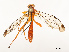  ( - CBG-B17168-C05)  @11 [ ] CreativeCommons - Attribution Share - Alike (2025) CBG Photography Group Centre for Biodiversity Genomics
