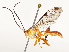  ( - CBG-B17168-C06)  @11 [ ] CreativeCommons - Attribution Share - Alike (2025) CBG Photography Group Centre for Biodiversity Genomics
