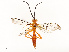  ( - CBG-B17181-E08)  @11 [ ] CreativeCommons - Attribution Share - Alike (2025) CBG Photography Group Centre for Biodiversity Genomics