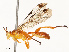  ( - CBG-B17181-F12)  @11 [ ] CreativeCommons - Attribution Share - Alike (2025) CBG Photography Group Centre for Biodiversity Genomics