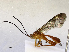  ( - CBG-B17188-C07)  @11 [ ] CreativeCommons - Attribution Share - Alike (2025) CBG Photography Group Centre for Biodiversity Genomics