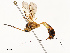  ( - CBG-B18736-G02)  @11 [ ] CreativeCommons - Attribution Share - Alike (2025) CBG Photography Group Centre for Biodiversity Genomics