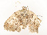  ( - CBG-A58618-C08)  @11 [ ] CreativeCommons - Attribution Share - Alike (2025) CBG Photography Group Centre for Biodiversity Genomics