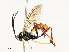  ( - CBG-A58619-A09)  @11 [ ] CreativeCommons - Attribution Share - Alike (2025) CBG Photography Group Centre for Biodiversity Genomics