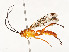  ( - CBG-A58619-A10)  @11 [ ] CreativeCommons - Attribution Share - Alike (2025) CBG Photography Group Centre for Biodiversity Genomics