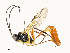  ( - CBG-A58619-B08)  @11 [ ] CreativeCommons - Attribution Share - Alike (2025) CBG Photography Group Centre for Biodiversity Genomics