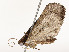  ( - CBG-A58664-C04)  @11 [ ] CreativeCommons - Attribution Share - Alike (2025) CBG Photography Group Centre for Biodiversity Genomics