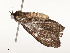  ( - CBG-A58664-C05)  @11 [ ] CreativeCommons - Attribution Share - Alike (2025) CBG Photography Group Centre for Biodiversity Genomics