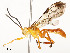  ( - CBG-A59481-B12)  @11 [ ] CreativeCommons - Attribution Share - Alike (2025) CBG Photography Group Centre for Biodiversity Genomics