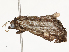  ( - CBG-A59486-A03)  @11 [ ] CreativeCommons - Attribution Share - Alike (2025) CBG Photography Group Centre for Biodiversity Genomics