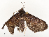  ( - CBG-A59486-A06)  @11 [ ] CreativeCommons - Attribution Share - Alike (2025) CBG Photography Group Centre for Biodiversity Genomics