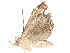  ( - CBG-A59486-C04)  @11 [ ] CreativeCommons - Attribution Share - Alike (2025) CBG Photography Group Centre for Biodiversity Genomics