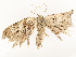  ( - CBG-A59487-F03)  @11 [ ] CreativeCommons - Attribution Share - Alike (2025) CBG Photography Group Centre for Biodiversity Genomics