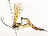  ( - CBG-A59488-E03)  @11 [ ] CreativeCommons - Attribution Share - Alike (2025) CBG Photography Group Centre for Biodiversity Genomics