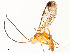  ( - CBG-A59488-F05)  @11 [ ] CreativeCommons - Attribution Share - Alike (2025) CBG Photography Group Centre for Biodiversity Genomics