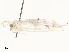  ( - CBG-A59488-F10)  @11 [ ] CreativeCommons - Attribution Share - Alike (2025) CBG Photography Group Centre for Biodiversity Genomics