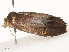  ( - CBG-A59488-F11)  @11 [ ] CreativeCommons - Attribution Share - Alike (2025) CBG Photography Group Centre for Biodiversity Genomics