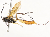  ( - CBG-A59490-C02)  @11 [ ] CreativeCommons - Attribution Share - Alike (2025) CBG Photography Group Centre for Biodiversity Genomics