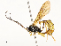  ( - CBG-A59495-F07)  @11 [ ] CreativeCommons - Attribution Share - Alike (2025) CBG Photography Group Centre for Biodiversity Genomics
