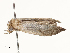  ( - CBG-A59496-F09)  @11 [ ] CreativeCommons - Attribution Share - Alike (2025) CBG Photography Group Centre for Biodiversity Genomics