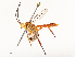  ( - CBG-A59497-C08)  @11 [ ] CreativeCommons - Attribution Share - Alike (2025) CBG Photography Group Centre for Biodiversity Genomics