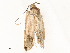  ( - CBG-A59497-F08)  @11 [ ] CreativeCommons - Attribution Share - Alike (2025) CBG Photography Group Centre for Biodiversity Genomics