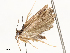  ( - CBG-A59497-F11)  @11 [ ] CreativeCommons - Attribution Share - Alike (2025) CBG Photography Group Centre for Biodiversity Genomics