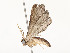  ( - CBG-A59557-D02)  @11 [ ] CreativeCommons - Attribution Share - Alike (2025) CBG Photography Group Centre for Biodiversity Genomics