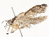 ( - CBG-A59557-G01)  @11 [ ] CreativeCommons - Attribution Share - Alike (2025) CBG Photography Group Centre for Biodiversity Genomics