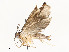  ( - CBG-A59557-G03)  @11 [ ] CreativeCommons - Attribution Share - Alike (2025) CBG Photography Group Centre for Biodiversity Genomics