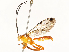  ( - CBG-A58707-G10)  @11 [ ] CreativeCommons - Attribution Share - Alike (2025) CBG Photography Group Centre for Biodiversity Genomics