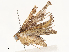  ( - CBG-A58708-F07)  @11 [ ] CreativeCommons - Attribution Share - Alike (2025) CBG Photography Group Centre for Biodiversity Genomics