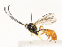  ( - CBG-A59491-E04)  @11 [ ] CreativeCommons - Attribution Share - Alike (2025) CBG Photography Group Centre for Biodiversity Genomics