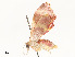  ( - CBG-A59492-D11)  @11 [ ] CreativeCommons - Attribution Share - Alike (2025) CBG Photography Group Centre for Biodiversity Genomics