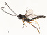  ( - CBG-A59492-F06)  @11 [ ] CreativeCommons - Attribution Share - Alike (2025) CBG Photography Group Centre for Biodiversity Genomics