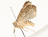  ( - CBG-A59499-D04)  @11 [ ] CreativeCommons - Attribution Share - Alike (2025) CBG Photography Group Centre for Biodiversity Genomics