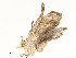  ( - CBG-A59499-D05)  @11 [ ] CreativeCommons - Attribution Share - Alike (2025) CBG Photography Group Centre for Biodiversity Genomics