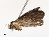  ( - CBG-A59558-A02)  @11 [ ] CreativeCommons - Attribution Share - Alike (2025) CBG Photography Group Centre for Biodiversity Genomics