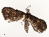  ( - CBG-A59558-A09)  @11 [ ] CreativeCommons - Attribution Share - Alike (2025) CBG Photography Group Centre for Biodiversity Genomics