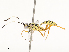  ( - CBG-A59558-F05)  @11 [ ] CreativeCommons - Attribution Share - Alike (2025) CBG Photography Group Centre for Biodiversity Genomics
