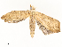  ( - CBG-A62870-C07)  @11 [ ] CreativeCommons - Attribution Share - Alike (2025) CBG Photography Group Centre for Biodiversity Genomics