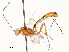  ( - CBG-A62871-B11)  @11 [ ] CreativeCommons - Attribution Share - Alike (2025) CBG Photography Group Centre for Biodiversity Genomics