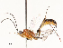  ( - CBG-A62871-G06)  @11 [ ] CreativeCommons - Attribution Share - Alike (2025) CBG Photography Group Centre for Biodiversity Genomics